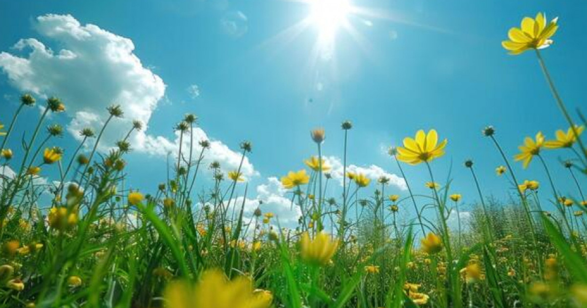 10 тамызға арналған ауа райы болжамы