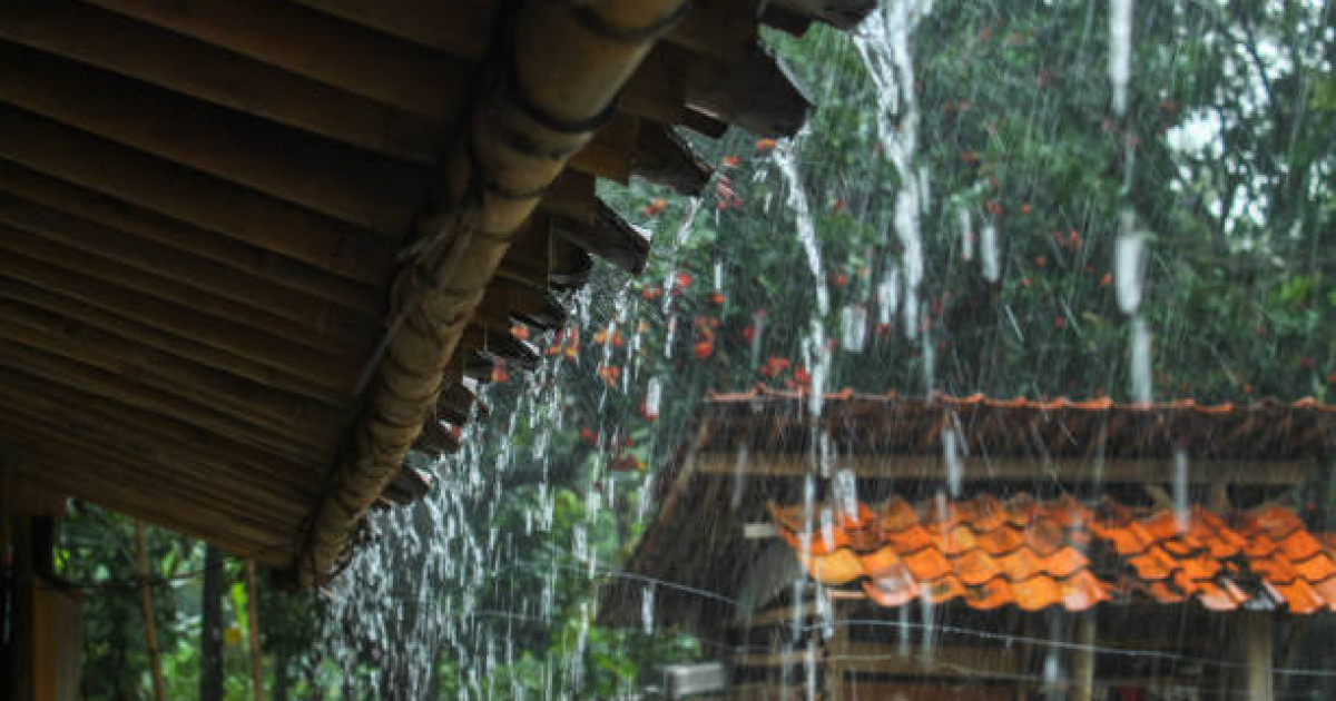 20 тамызда жаңбыр, бұршақ жауады: синоптиктер ескерту жасады