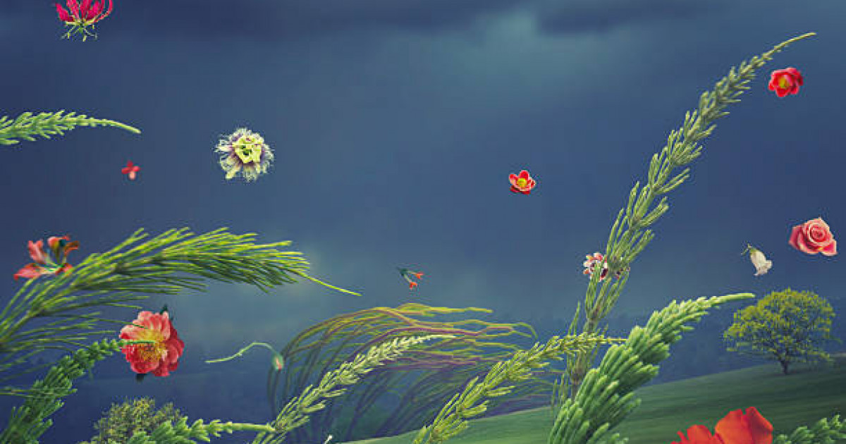 3 тамызға арналған ауа райы болжамы