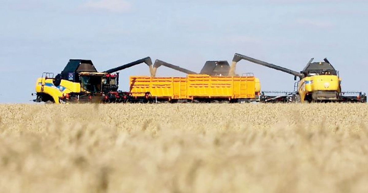 Ақмола даласындағы берекелі науқан