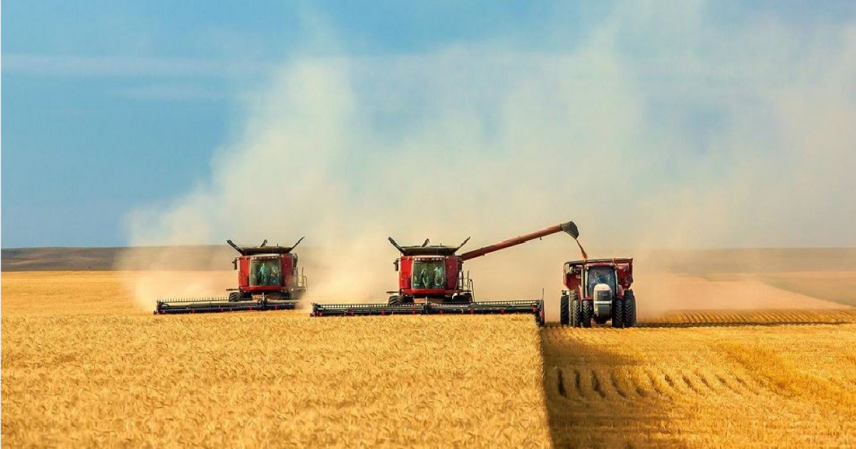 Алтын дән қамбаға құйылды