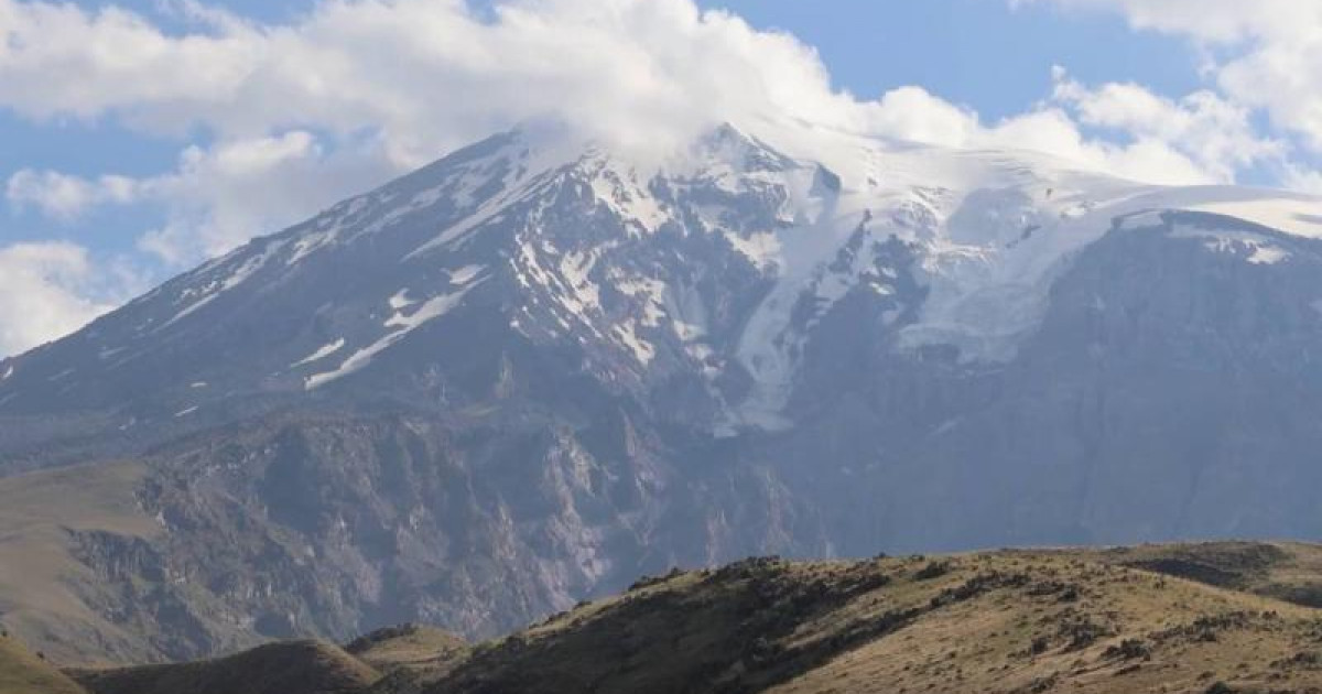 Тұз астындағы балапандар