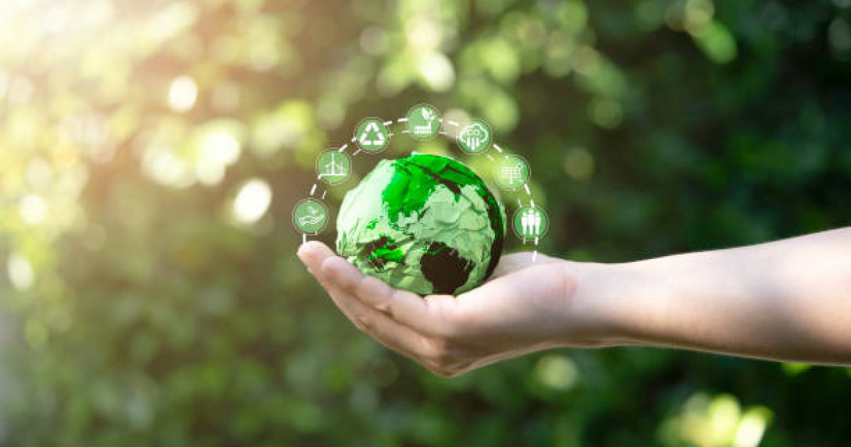 Астана – болашақ зертханасы: PRO.NRG Fest 2025 мұғалімдерді, тарихшыларды, эко-көшбасшыларды және стартаптарды «Білім ағашы» форматында біріктіреді