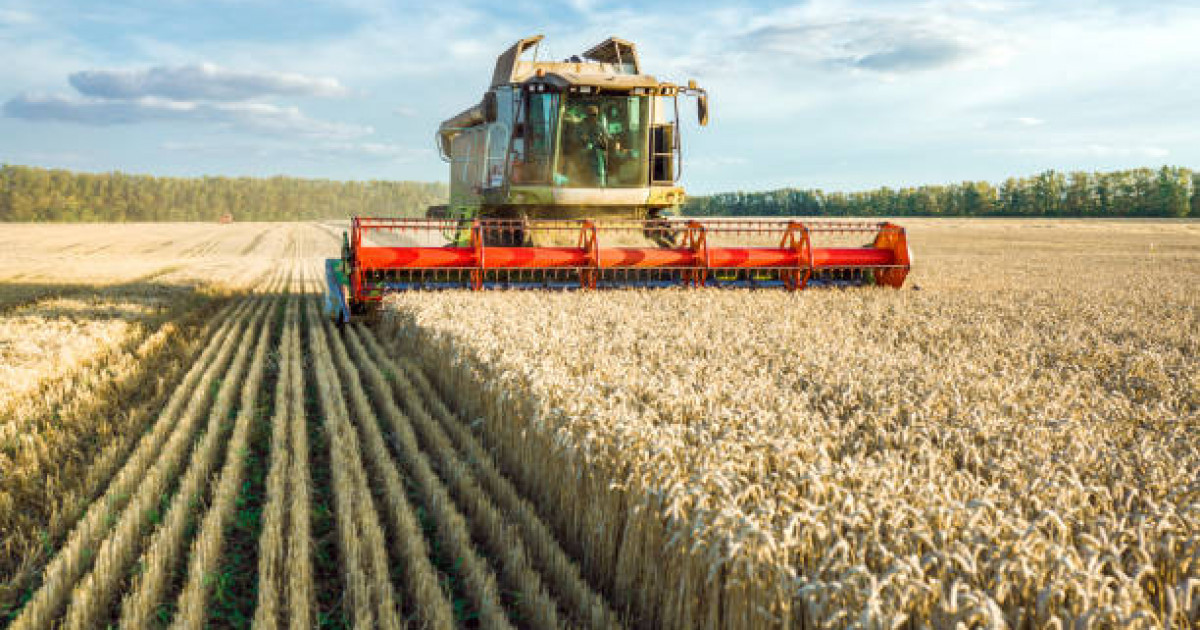 Биыл егін және жиын-терім жұмыстарына 700 миллиард теңге бөлінді