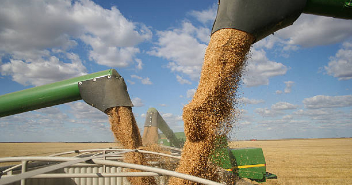 Елде егін жинау науқаны басталды