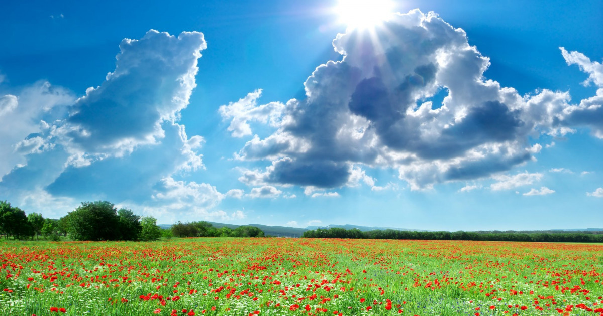 Еліміздің батысында, оңтүстігінде жауын-шашын болмайды