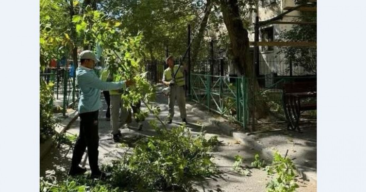 Сенбілікте күш біріктірді