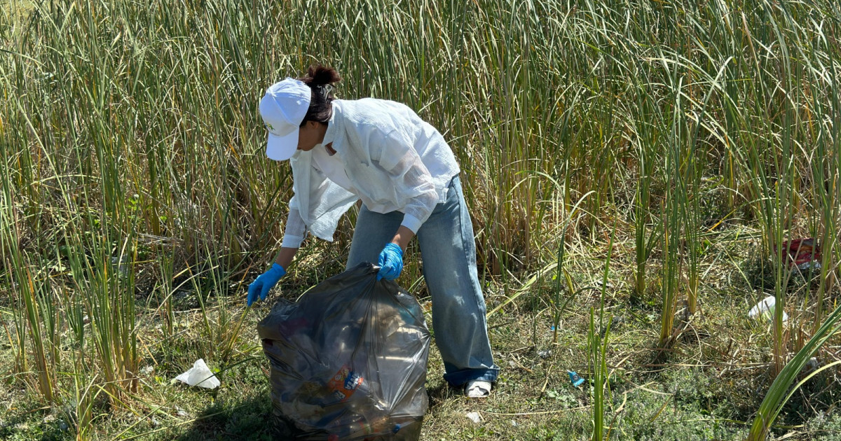 «Таза бейсенбі»: өңірлерде экологиялық акция өтті