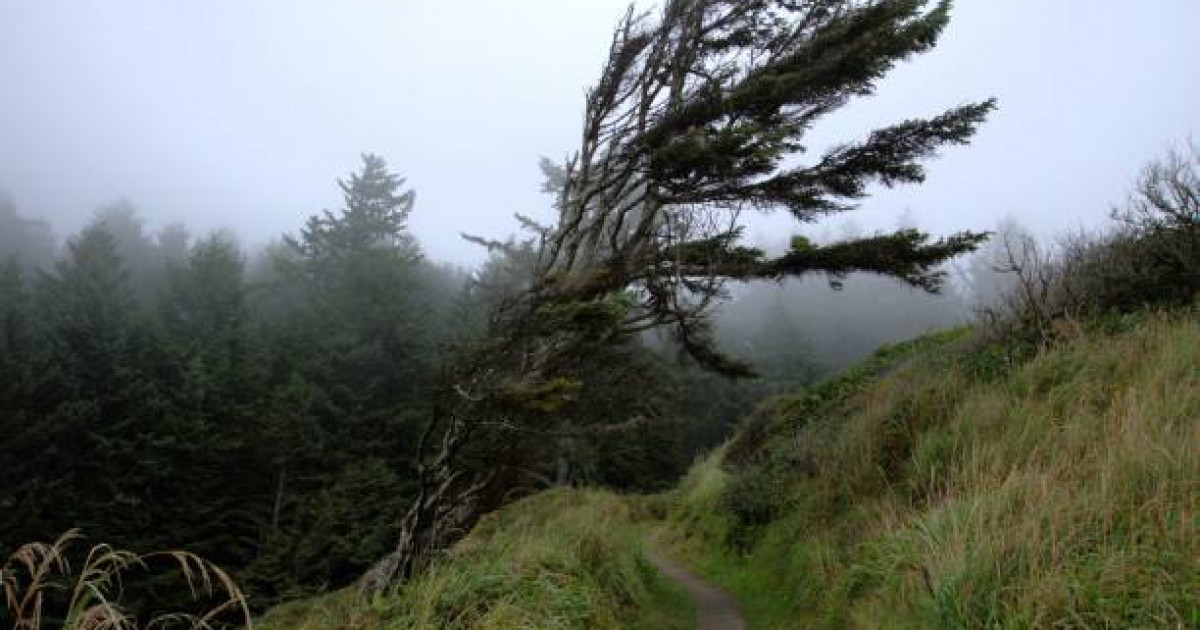 Старый Осколдағы жезөкшелер, Старый Осколдағы жеке эскорттар