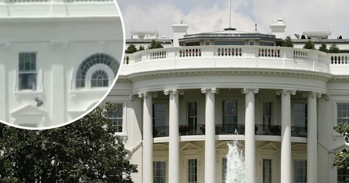 Ақ үй терезесінен лақтырылған заттарға президент ЖИ-ді кінәлады