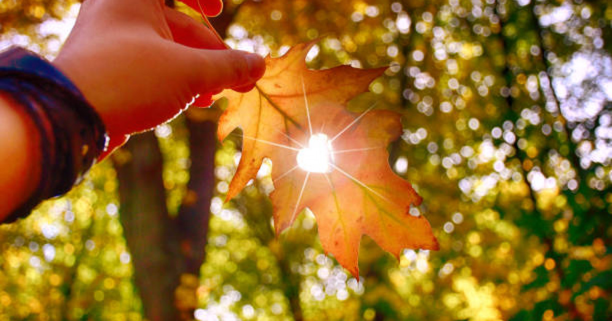 Алдағы үш күн елімізде ауа райы қандай болады?