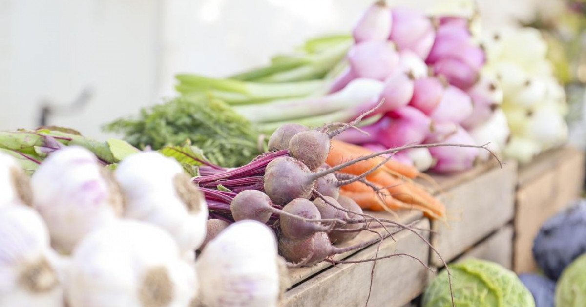 Алматы облысындағы агроөнім экспорты 1,5 еседен астам өсті