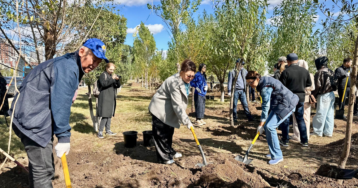 «AMANAT» партиясы Әйелдер қанатының мүшелері елордада жүзден астам ағаш екті