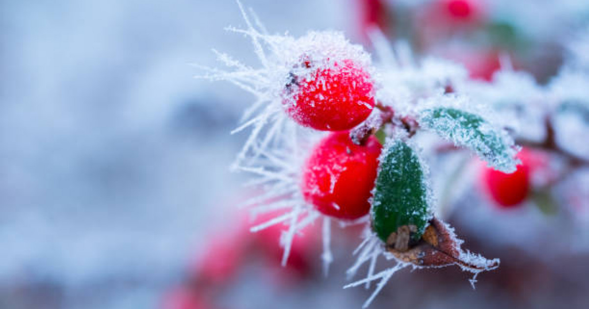 Аяз болады: синоптиктер ескерту жасады