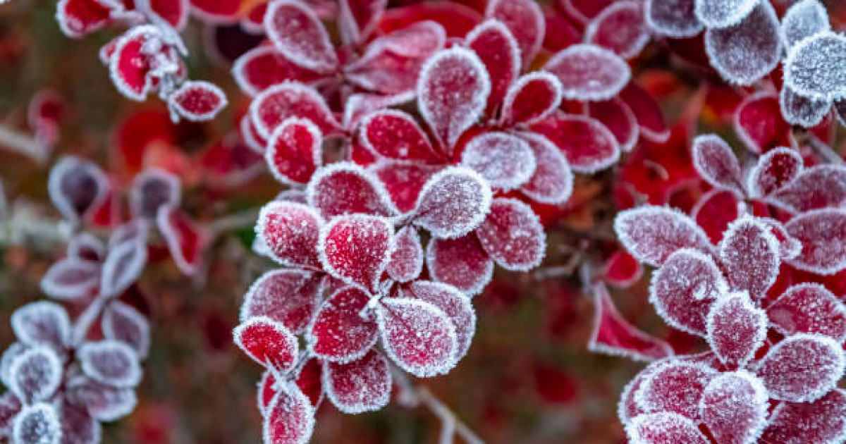 Бұршақ жауады, үсік жүреді: 4 қыркүйекке ауа райы болжамы