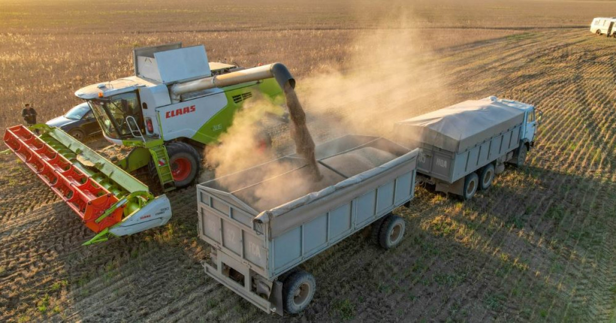 Орыс ананың порносы HD BBW жас қыз кончают бірнеше рет