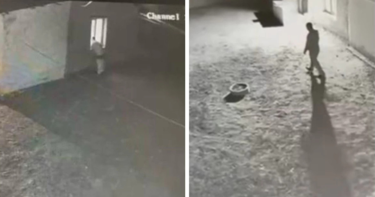 Милавица сексуалды іш киім