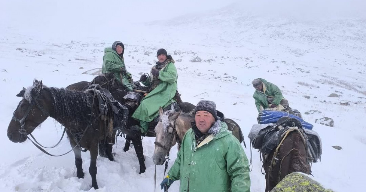 «Қалыңдығы 20-25 см»: Қатонқарағайда қыркүйекте қар жауды (ФОТО)