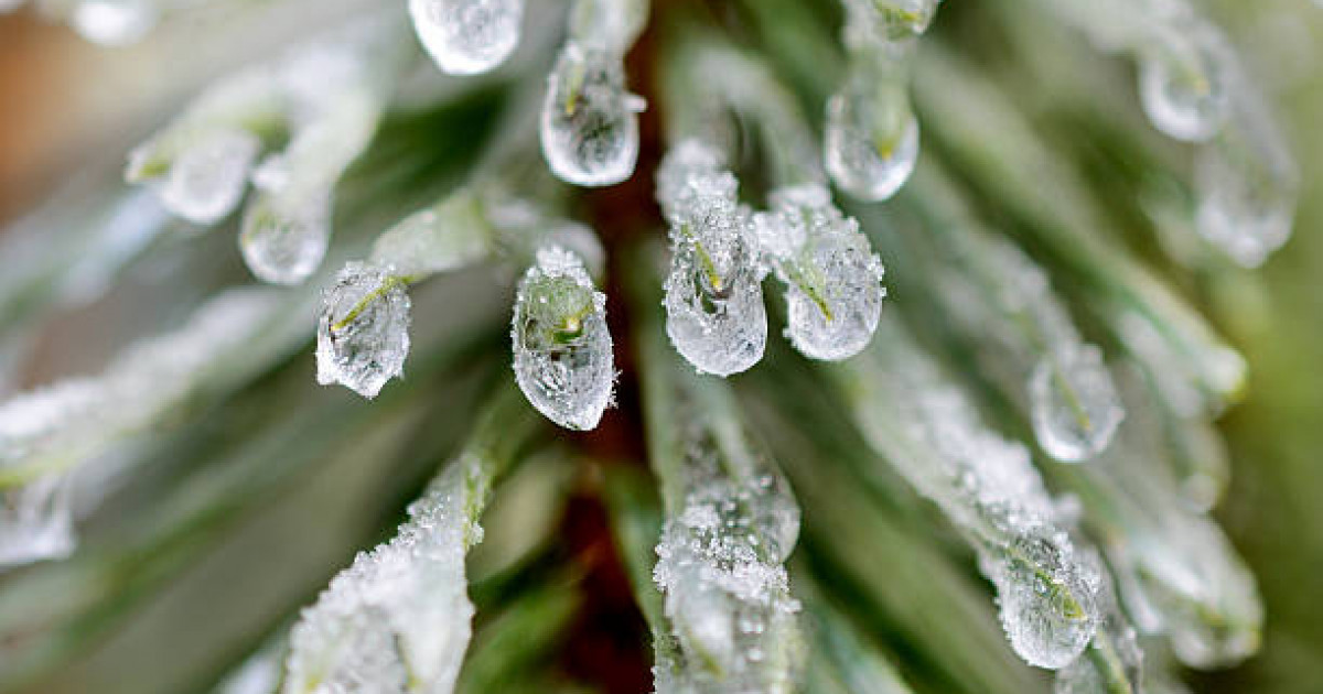 Қар аралас жаңбыр, бұршақ жауады: 23 қыркүйекке арналған ауа райы болжамы