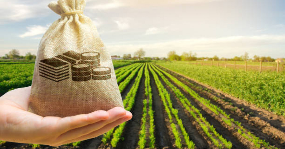 Қасым-Жомарт Тоқаев: «Озық агроэкономикаға көшу үшін Үкіметтің нақты жоспары болуы қажет»