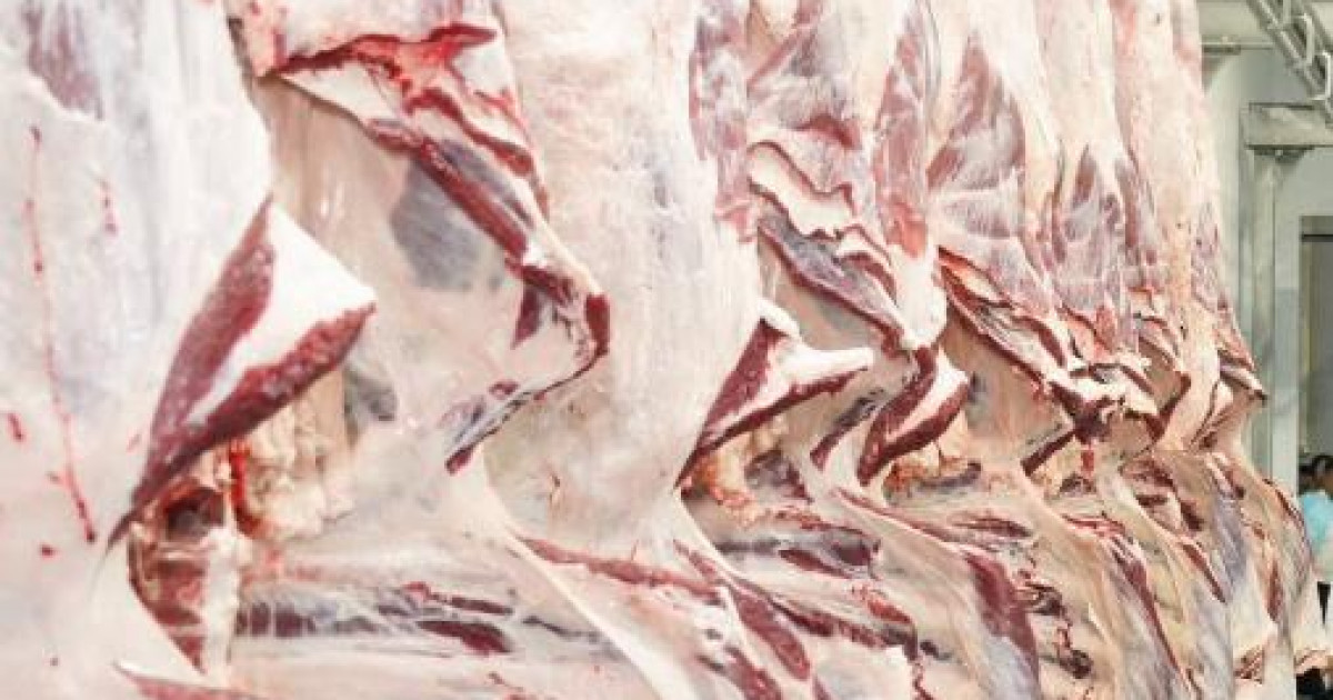 Қазақстанда сиыр еті қымбаттап жатыр: министрлік себебін айтты