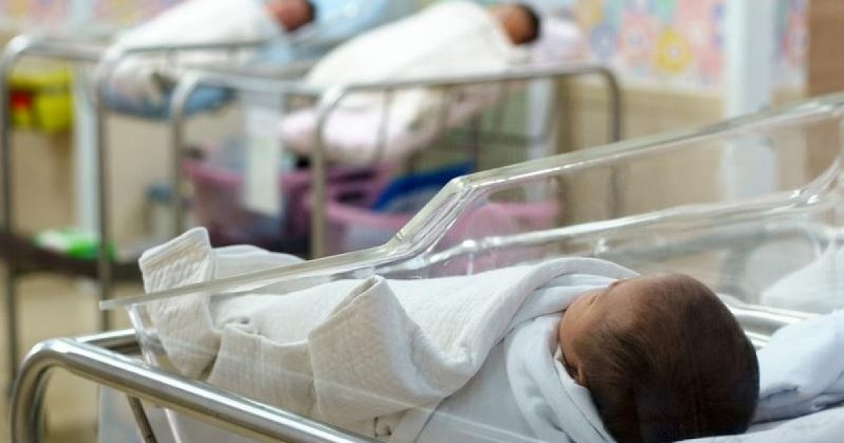 Қызметі – ақылы, қандай қақылы?