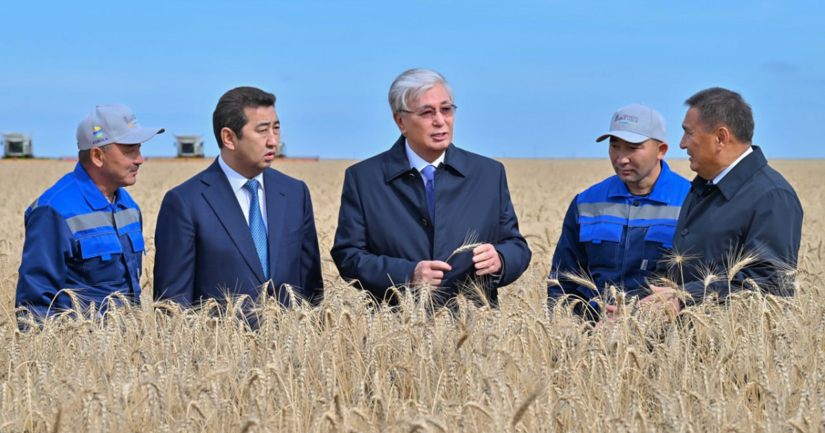 Мемлекет басшысы Ақмола облысындағы егін жинау науқанымен танысты