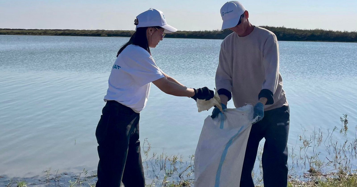 Порноны қалың бұқара жыртып тастады