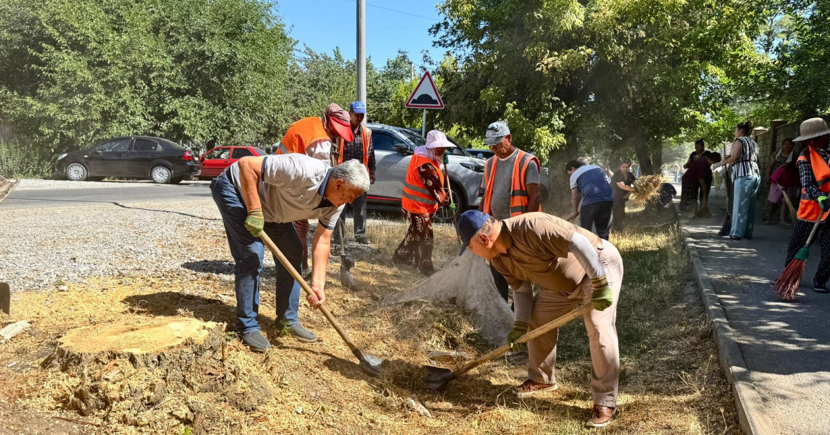 «Таза Қазақстан»: 860 мың гектардан астам аумақ тазаланып,  4 миллионнан астам ағаш отырғызылды