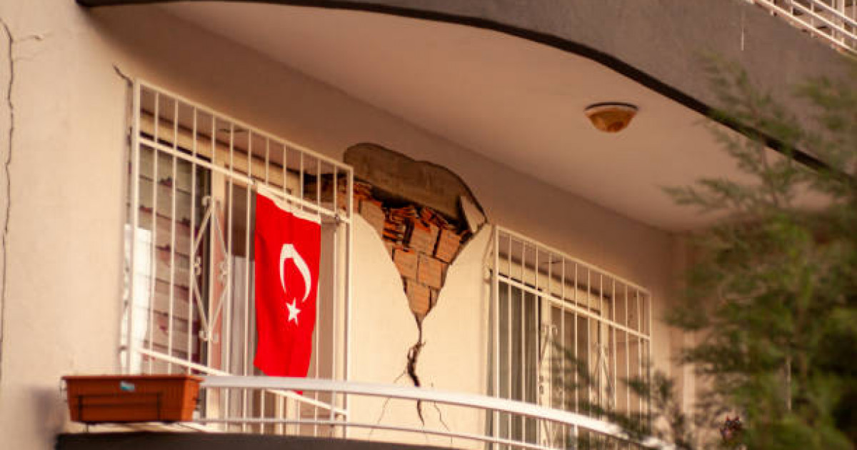 Ең сексуалды жалаңаш есектер