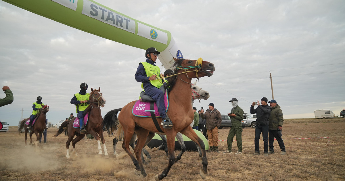 Брянск жезөкшелерінің порносы