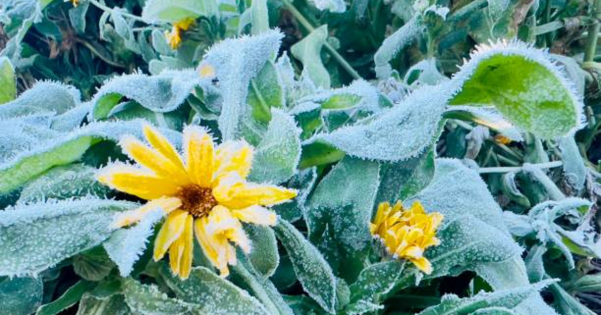 Үсік жүреді: 19 қыркүйекке арналған ауа райы болжамы