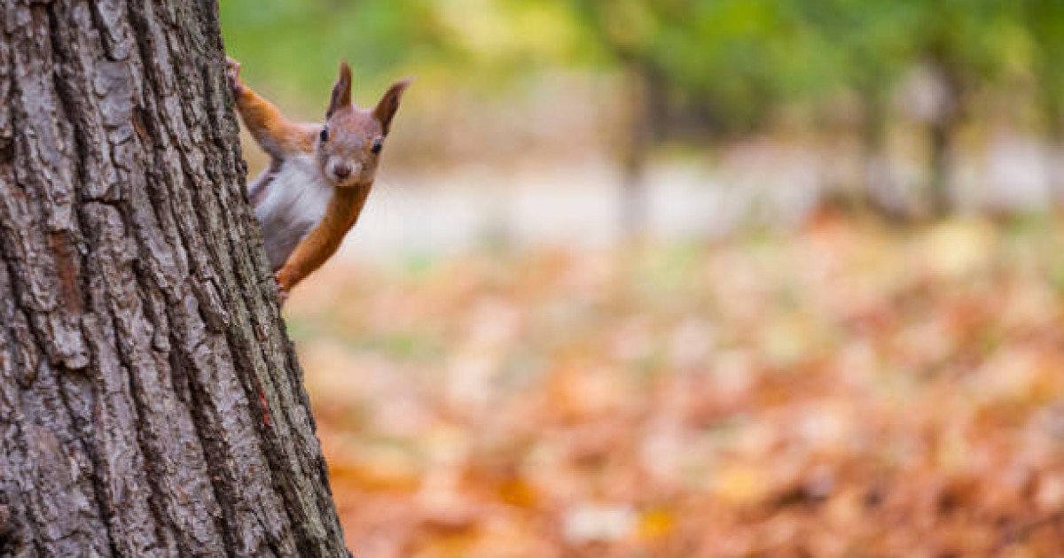 "Бейнежазбаға түсіру": Алматыда мұғалімдер оқушыларды флешмоб үшін суықта ұзақ ұстаған