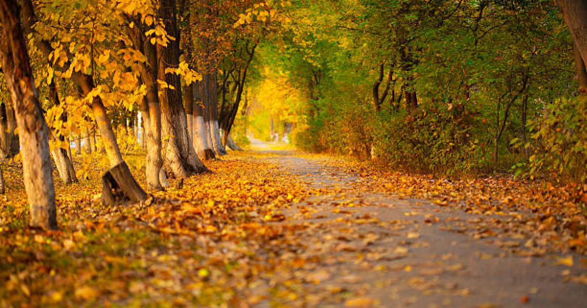 Елдің барлық аумағында жоғары және төтенше өрт қаупі сақталады