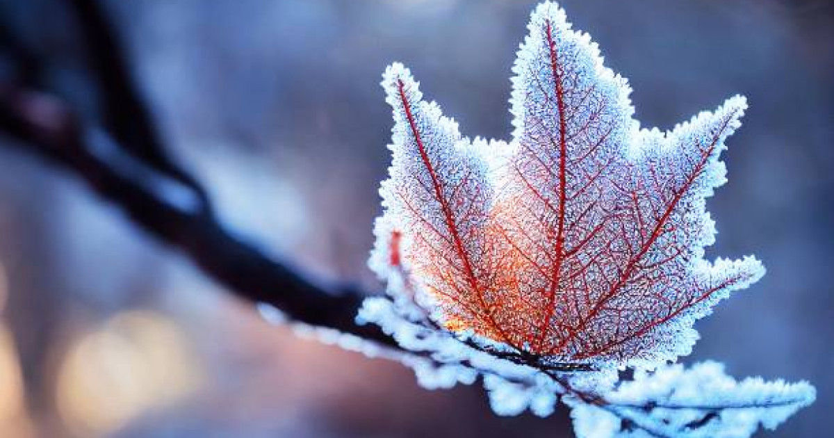 Қар жауып, үсік жүреді: 15 қазанға арналған ауа райы болжамы