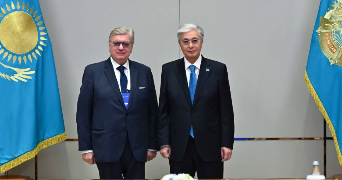 Қолымен мысықты сипап тұрған адамның фотосы