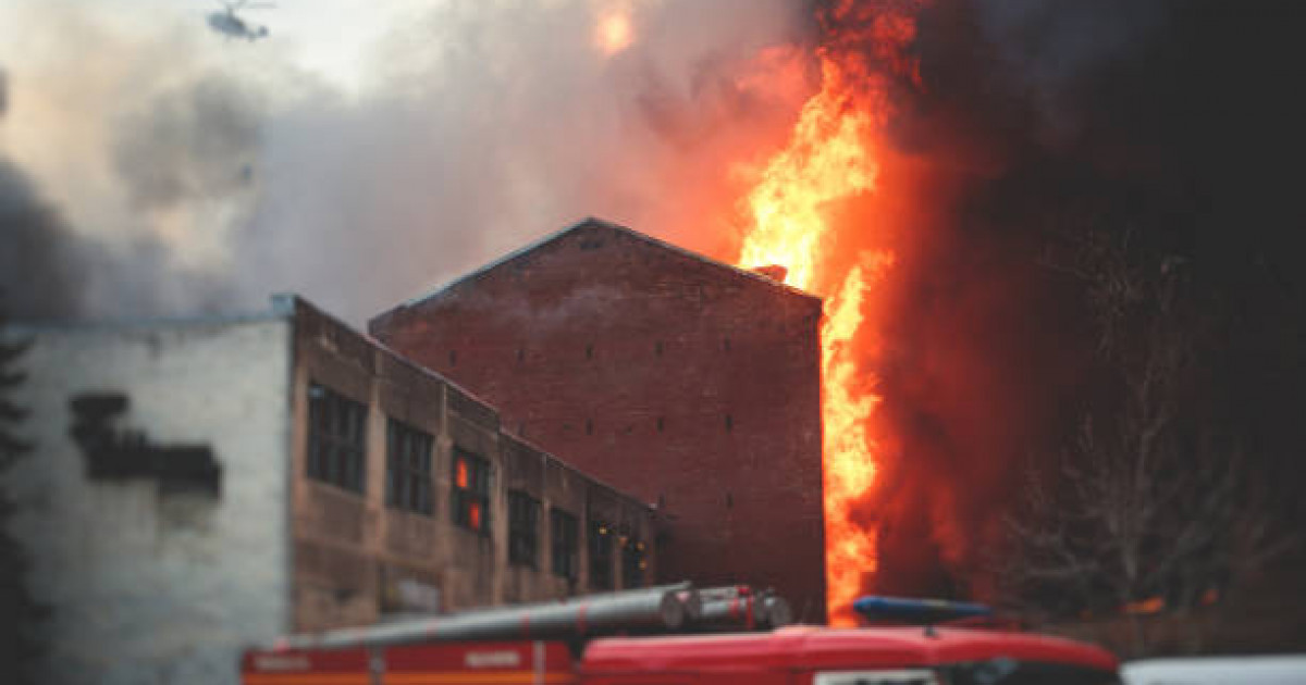 Добби порно