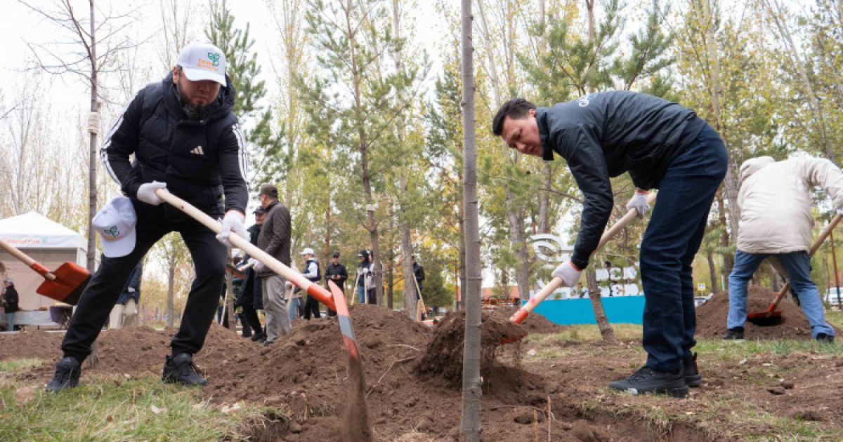 Ұлттық құрылтай мүшелері «Таза Қазақстан» акциясына қатысып, ағаш отырғызды