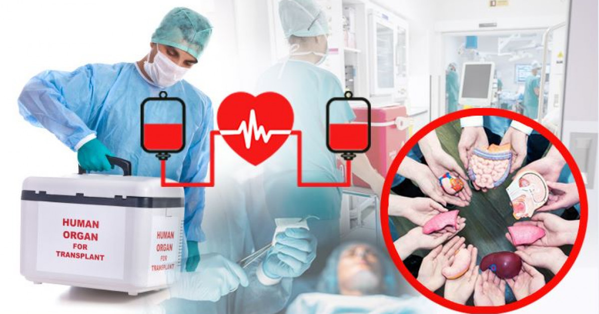 Жалғанса өмір өзегі