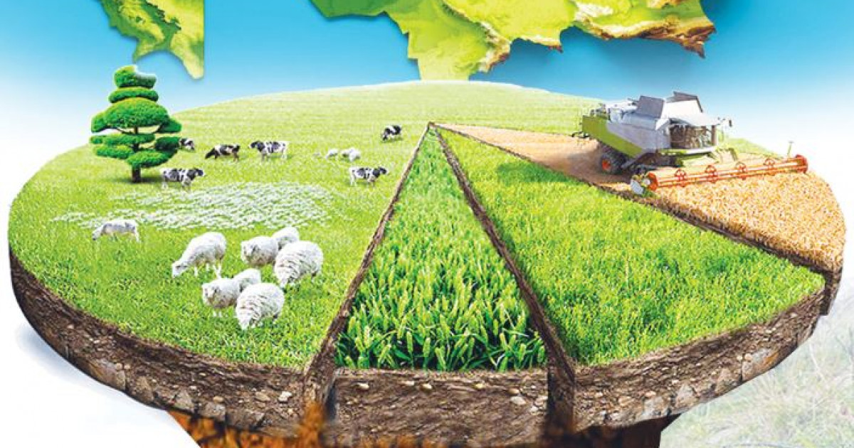 Жердің жыры: түйінді кім тарқатады?