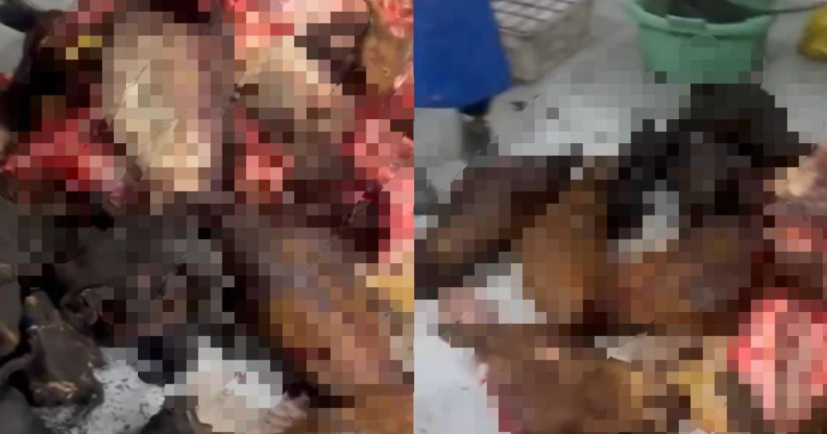 Астанада заңсыз түрде жұмыс істеген цехтан 180 қап ет тәркіленді