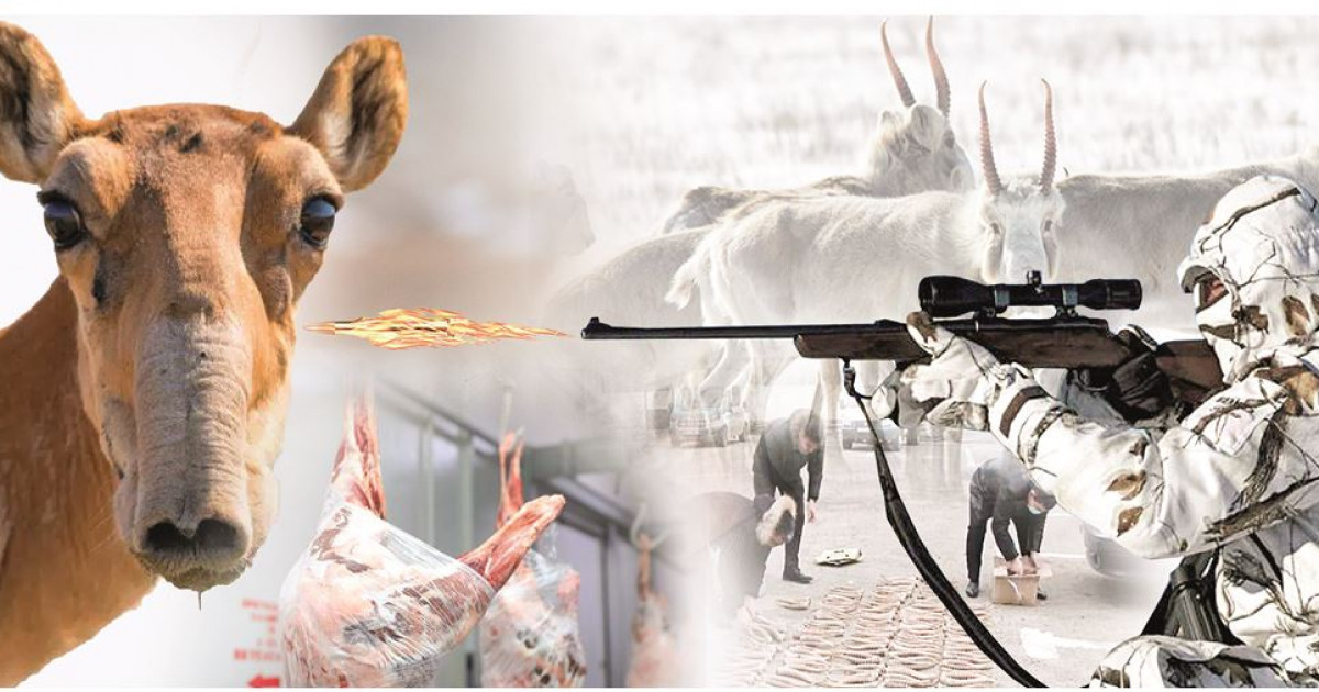 Саусақ пениса басына жоғары сапалы порно