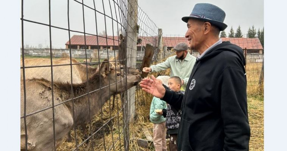 Орындық мемімен Дроу билері