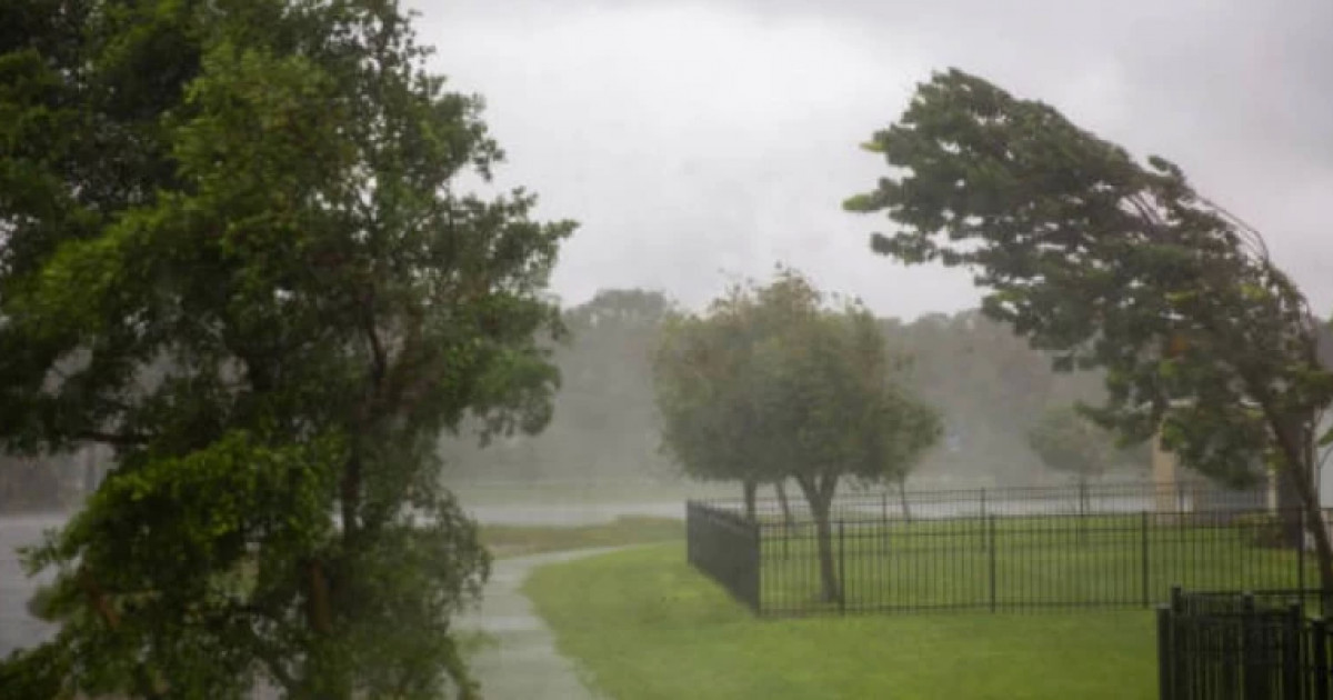 Тұман түсіп, жел соғады: 18 қарашаға ауа райы болжамы