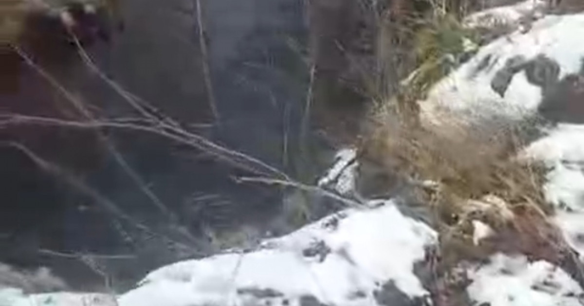 ТЖМ қызметкерлері өзенге құлап кеткен адамды құтқарды