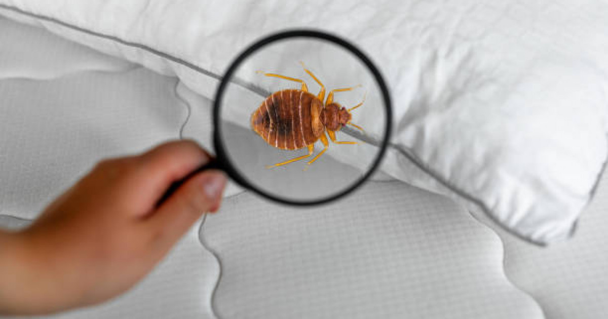 Ыстамбұлда бүтін бір отбасы қонақ үйде қандаланың уынан көз жұмды