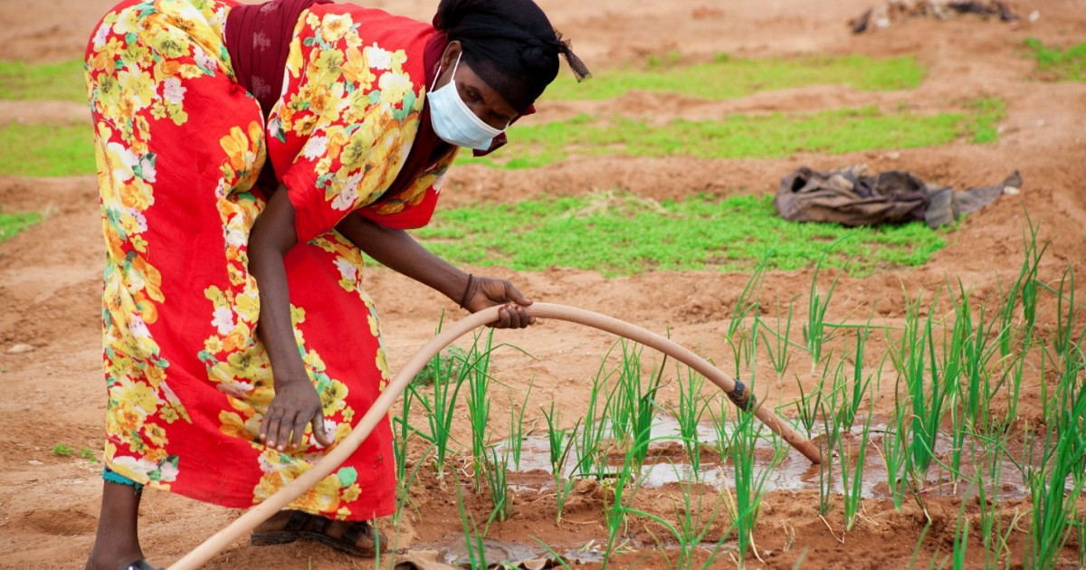 Жасанды интеллект 10 миллион адам бір жылда тұтынатын суды пайдаланады