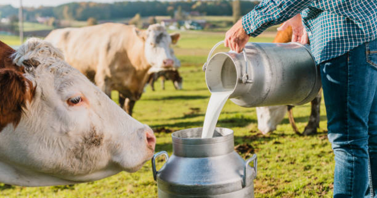 1 литр сүт өндірсеңіз, мемлекеттен 30 теңге беріледі