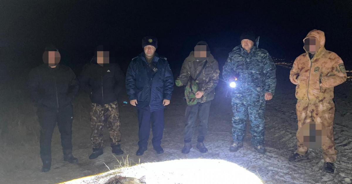 «Арнаулы лицензиясы болмаған»: полицейлер қоян аулауға шығып, бірақ қабан атып алған аңшыны ұстады