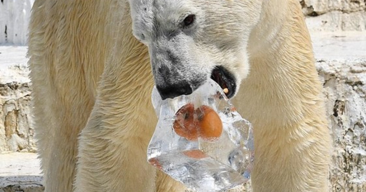 Аюлар биткоинды құлатып қойды